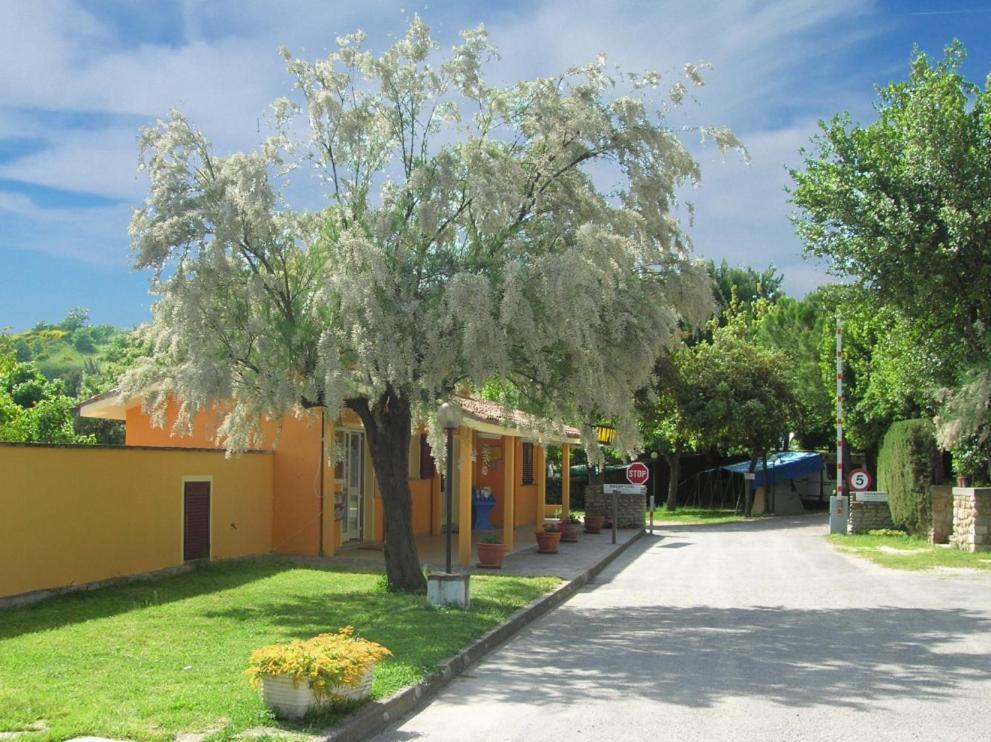 Camping Paradiso Πέζαρο Εξωτερικό φωτογραφία